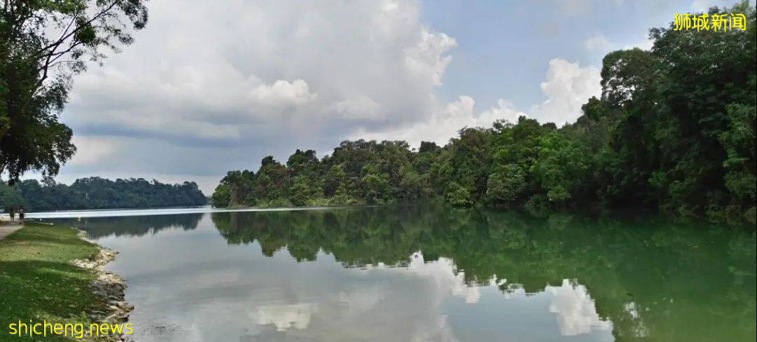 花香鸟鸣,绿荫环绕,新加坡十大生态徒步路线走起