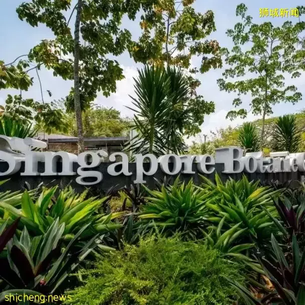 本周日！親子DIY盆栽、打卡越南網紅餐廳、了解新加坡曆史，搶位中