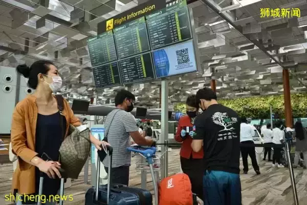 狮城未发现Omicron XE重组毒株病例