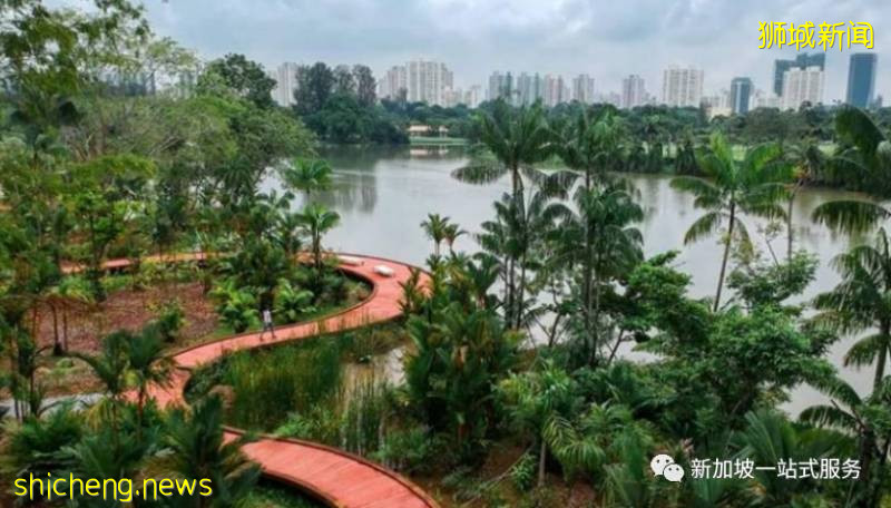 最美麗的自然風光: 新加坡植物園!