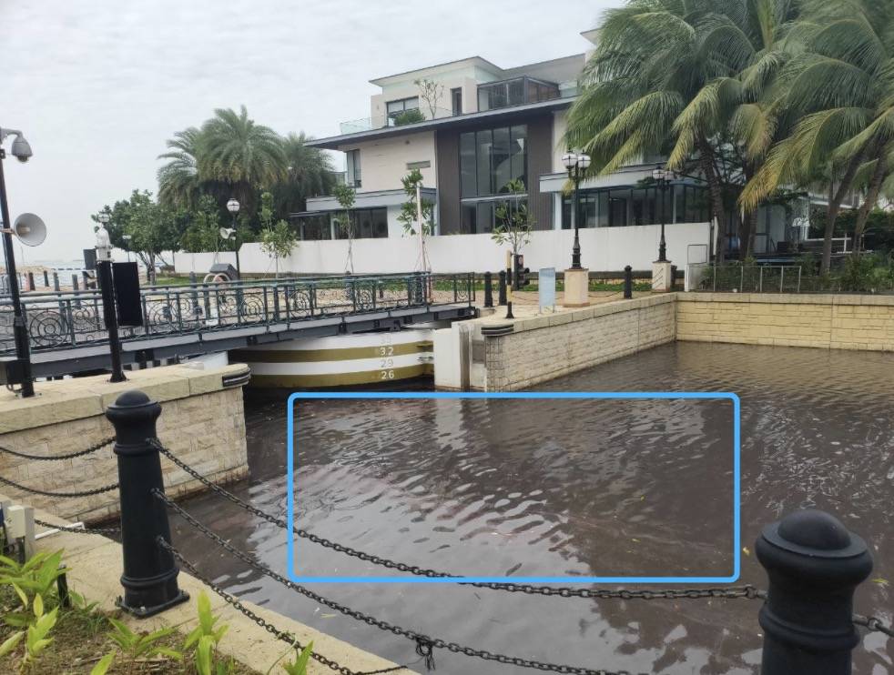 罕見!新加坡聖淘沙這條河變成了粉色,驚現大批死魚!39年創記錄暴雨太作了