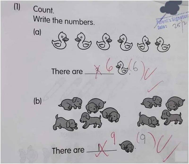 一道小一数学题折射出新加坡教育中创意、观察力、多角度思考的理念，引起新加坡社交媒体大讨论