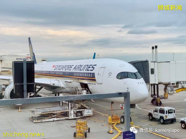 从伦敦飞13小时航程同排者确诊后，我在新加坡被这样安排