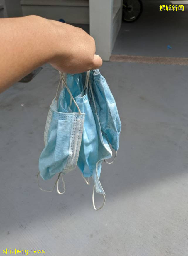 新加坡驚現“口罩樹”,造出這種新植物的你真沒點責任心