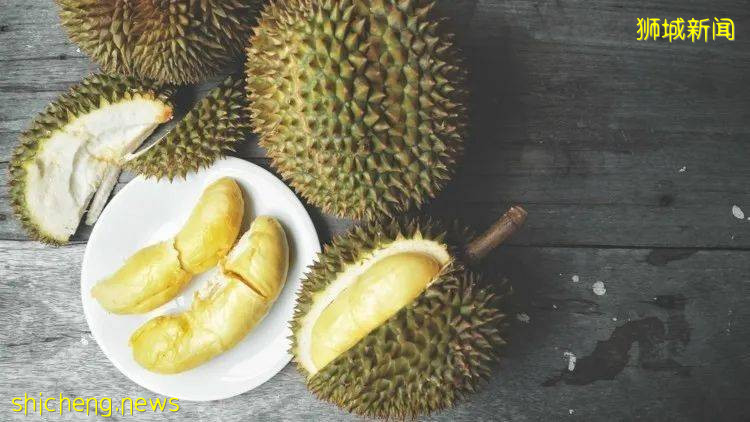 新加坡榴梿全攻略！實拍挑戰芥末和燒烤榴梿！太刺激了