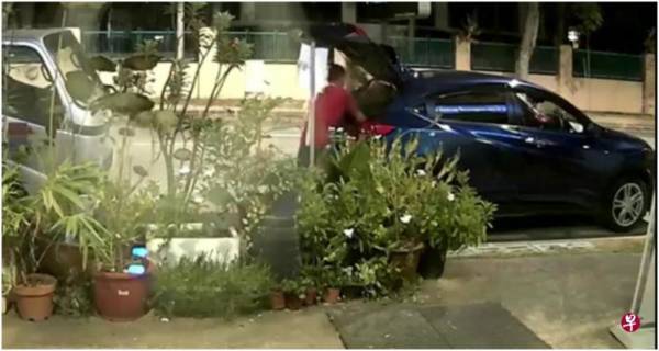 左挑右选如逛花市 男子凌晨偷花