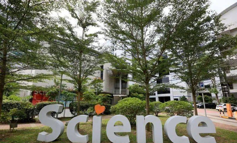 新加坡国立大学设立新跨科系学院,预计2021年8月开课,学生可选三类学习道路