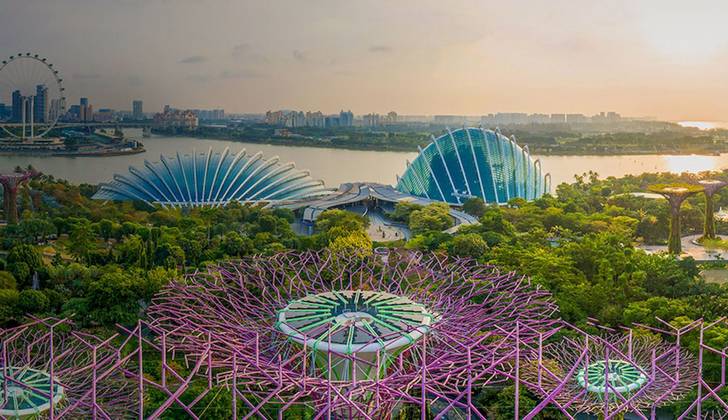 新加坡貿工部宣布：酒店、旅行社和導遊可豁免執照費至今年12月
