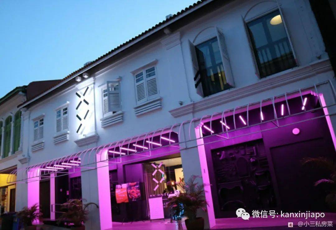 新加坡导演和明星联手,呈现的创意料理