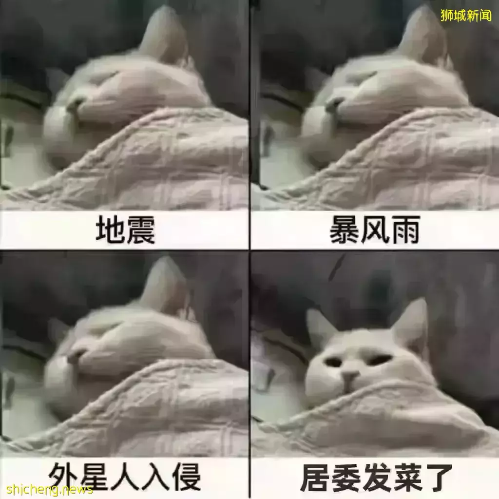 李显龙总理发声，挺中国防疫！上海的新加坡人晒冰箱，这些岛上阿姨曾囤出一个超市