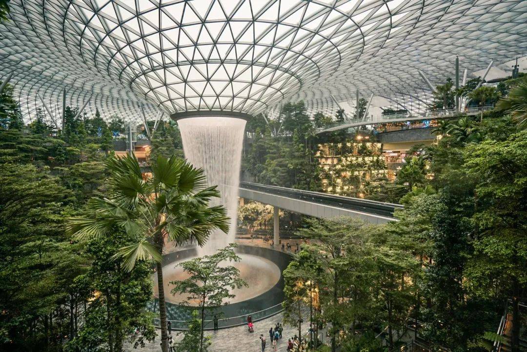 叮咚!新加坡奇奇怪怪的冷知识增加了