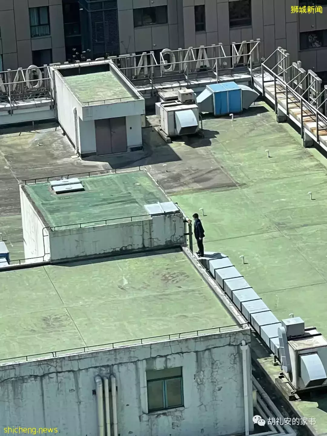 “从新加坡回到上海,封锁一再延长,我被卷入了这场前所未有的大事件”