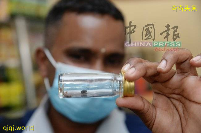 ◤行動管制◢ 不遵SOP沒情講 食肆一律 封!