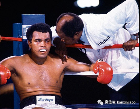 今增5 | 新加坡社区病例屡屡出现，政府开始彻查“重灾区”潜伏情况