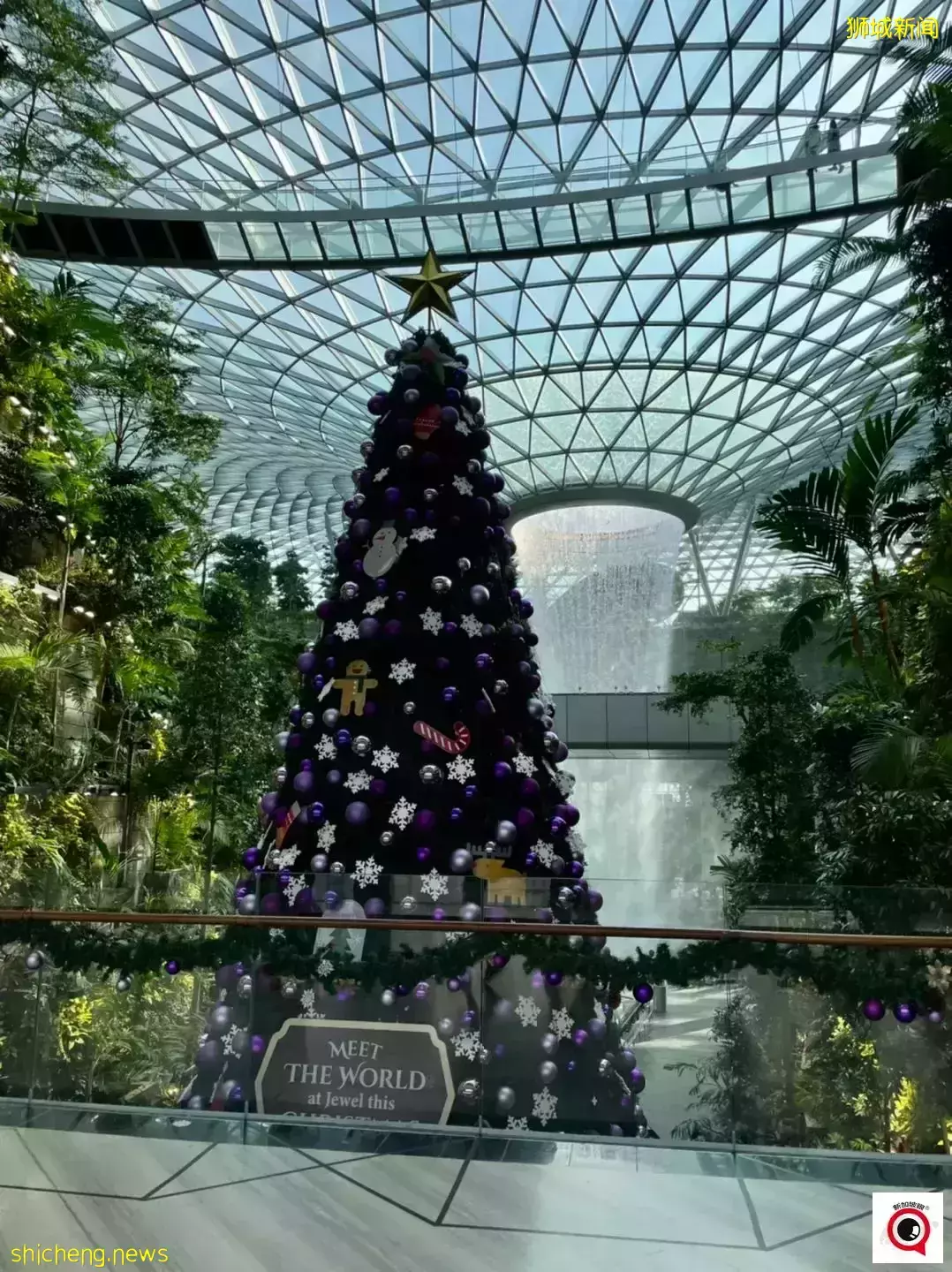 乌节路圣诞装饰实拍!全新加坡2021年最美圣诞树即将揭晓