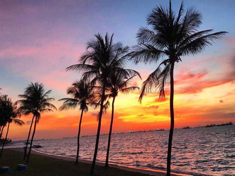 玩轉新加坡!東海岸8大玩法🌤 騎行、慢跑、沖浪、野餐,跟著清單這樣耍就對了