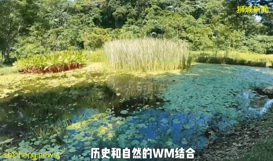 疫情不再宅家!新加坡10个超美户外蓄水池走起~人少风景好