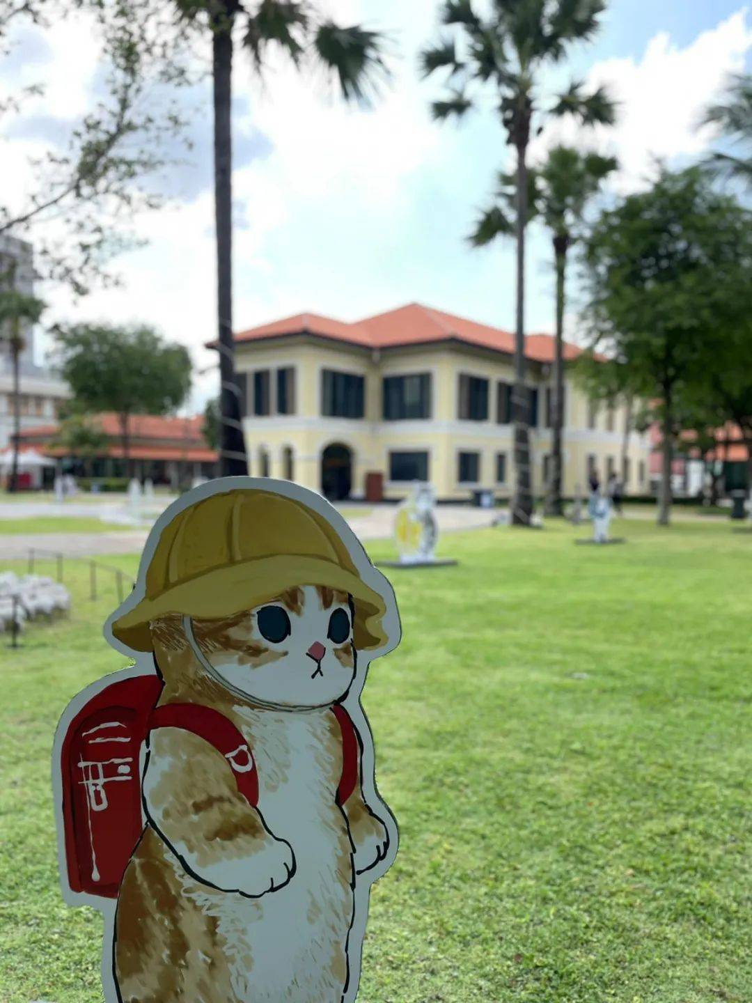 超可爱!马来文化遗产中心惊现多只猫咪