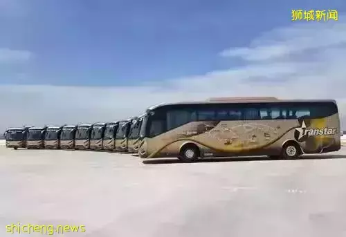 提前十分钟宣布就开卖!星运旅游这新马车票卖的太突然