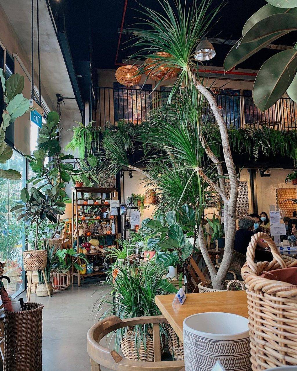 森林花園咖啡館Knots Cafe & Living🌿被綠植盆栽圍繞、置身世外桃源，感受片刻恬靜✨
