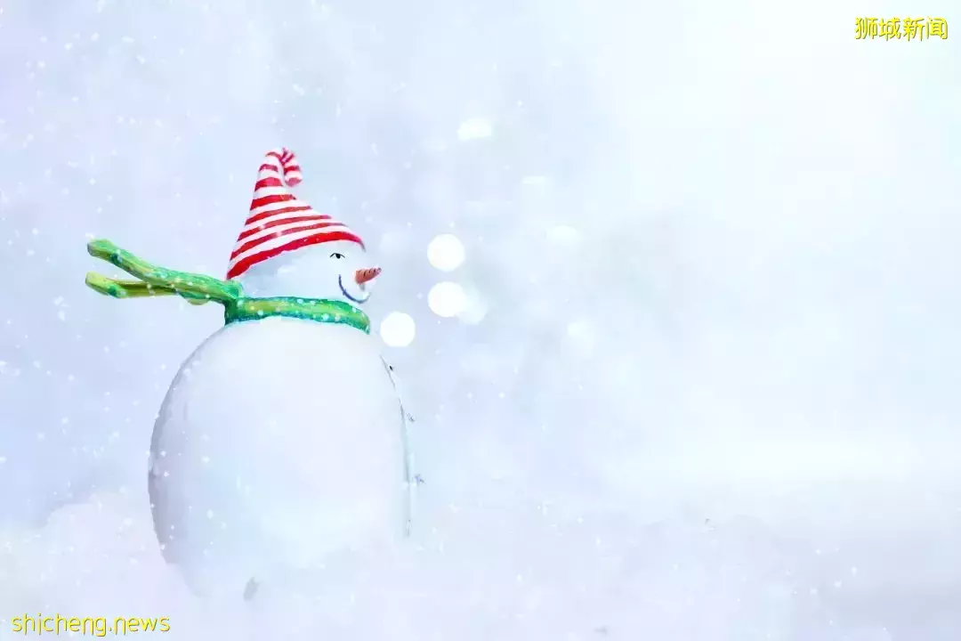 新加坡竟然也过冬至!在新加坡的你是汤圆党还是饺子党