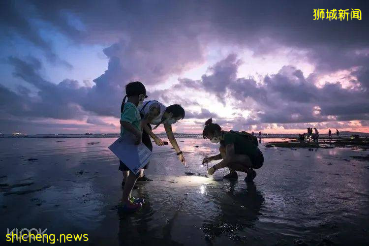 新加坡年底假期去哪玩?18個景點+活動+酒店推薦,還能用SRV券哦