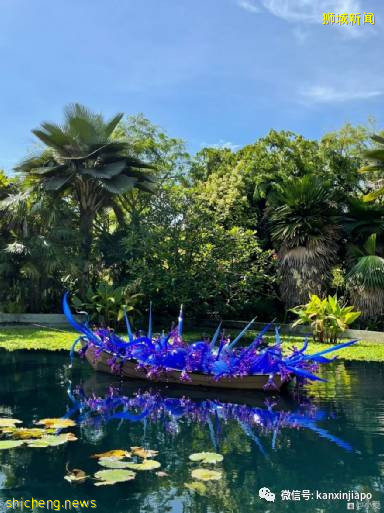 视觉冲击力超强,巨型玻璃雕塑“攻占”新加坡滨海湾