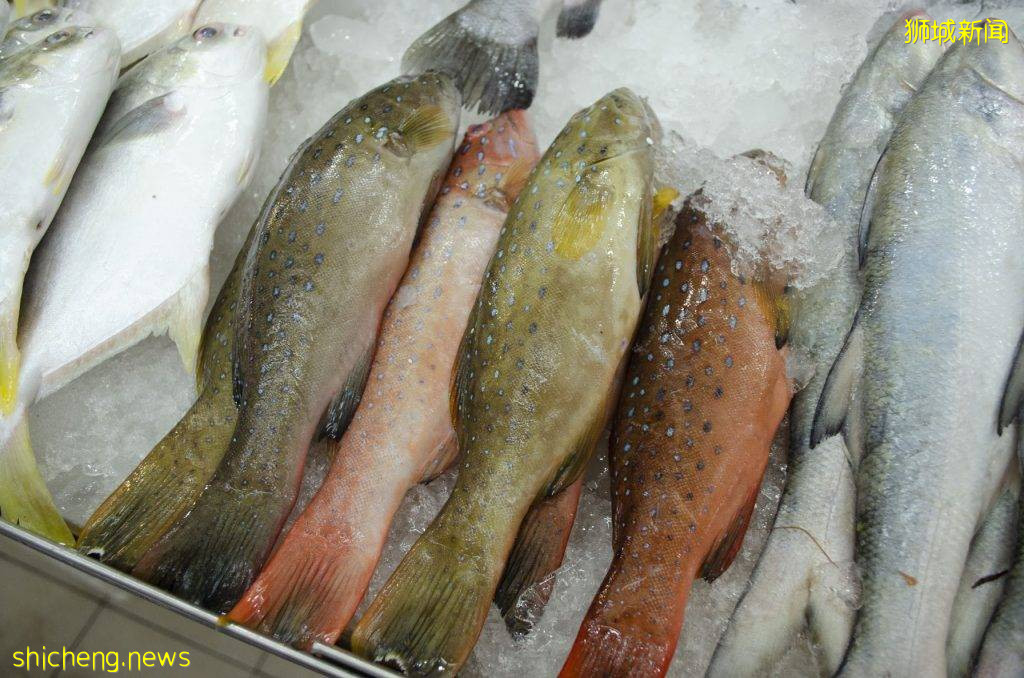 在家也能逛濕巴刹！新加坡最大的線上生鮮平台“TADA Fresh Market”，超新鮮食材免郵費送到家