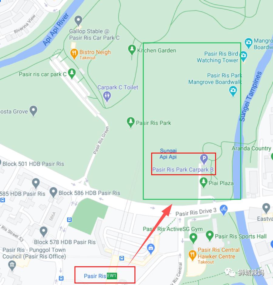 新加坡最好玩的海灘公園!趕海、騎馬、劃艇、樹籬迷宮、燒烤露營,超適合家庭出遊