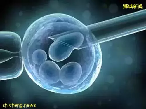 明年起解禁!新加坡年轻单身女孩也能“冻卵”