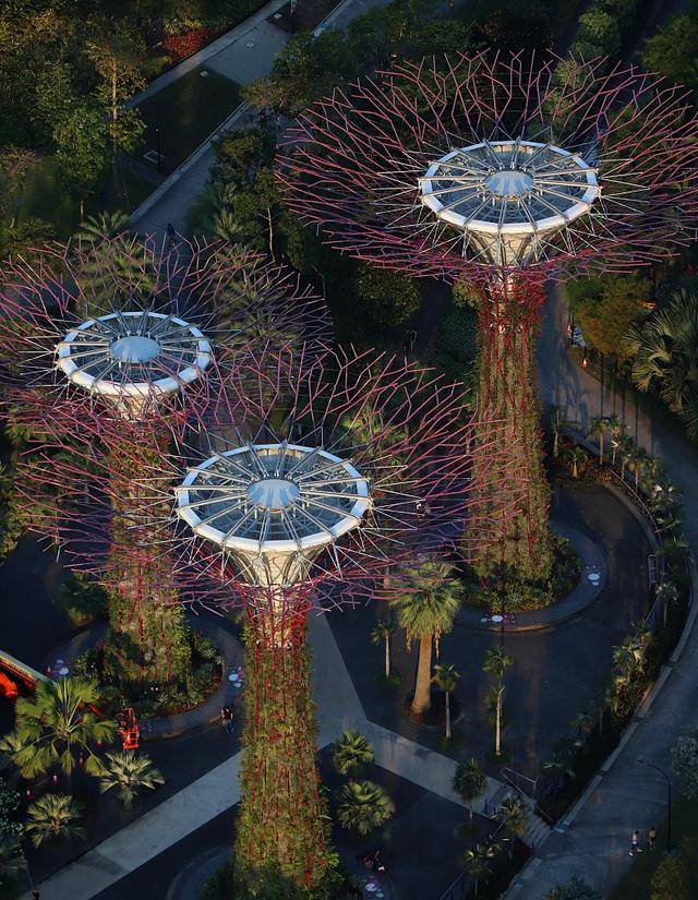 2021年入境新加坡,需要注意这些事项