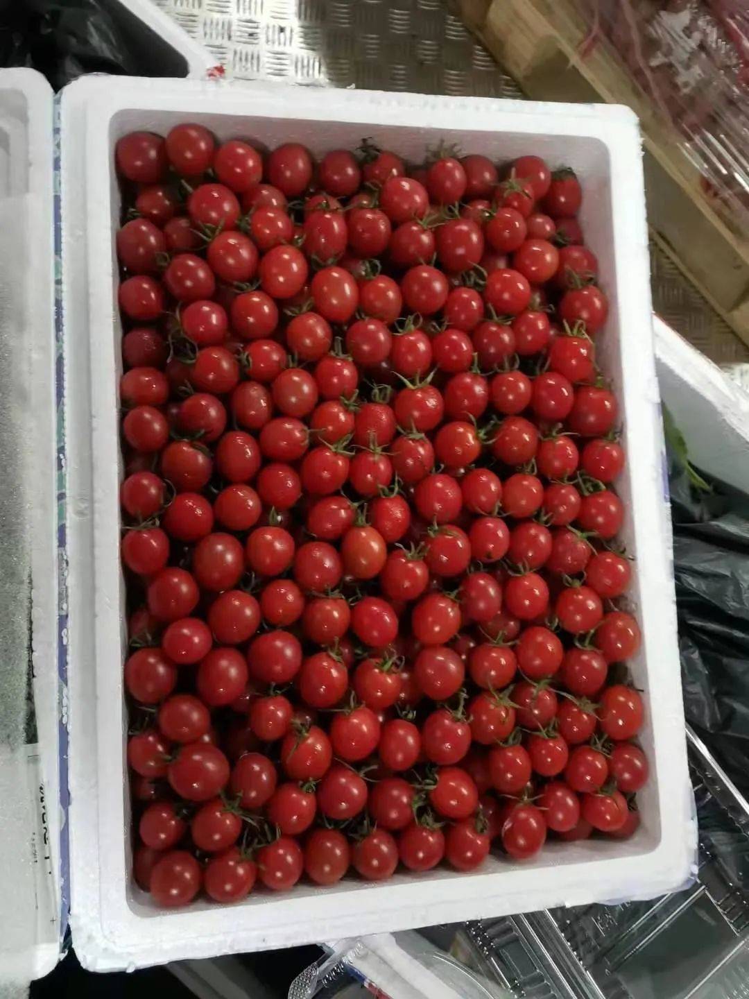 21號新貨到！！！貴妃芒，甯夏菜心，雪裏紅，新鮮百合，新鮮春筍….全國各地新鮮果蔬盡在獅城生鮮直購