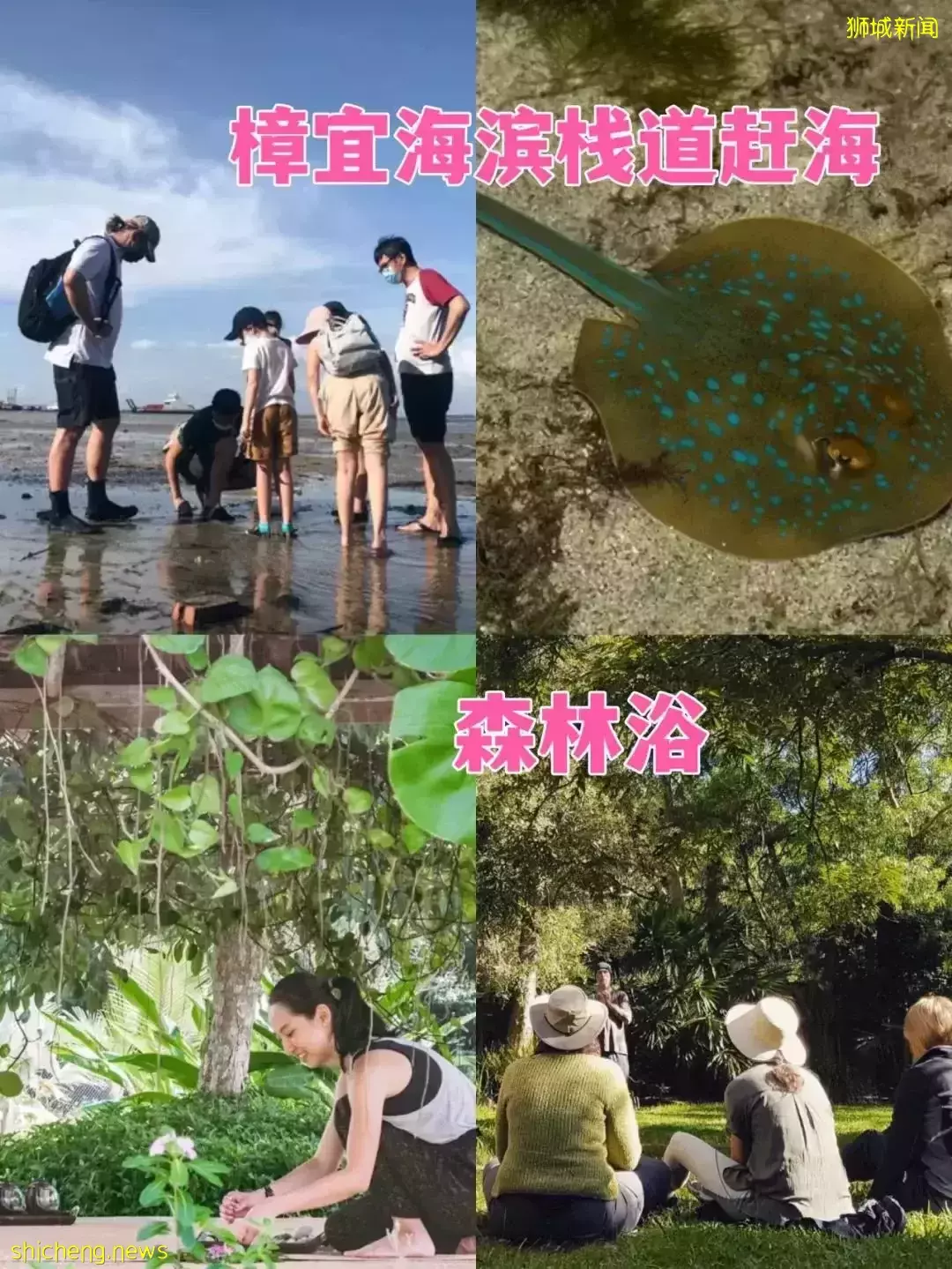 潛水、釣魚、森林浴……新加坡最有趣的10個戶外活動，看到最後一個我心動了