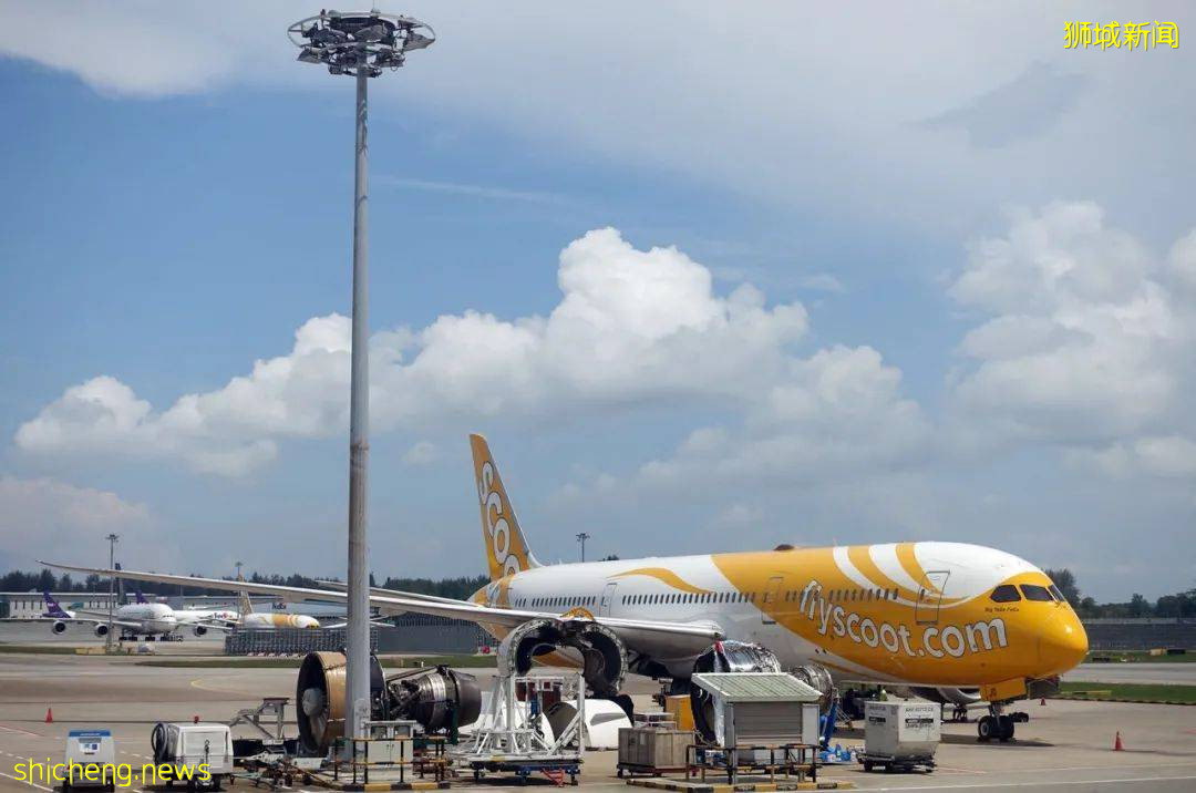 大使馆发布重要通知!新加坡飞中国航班又遭熔断