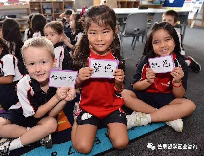 明星贵族都选择的国际学校:新加坡史丹福美国国际学校SAIS