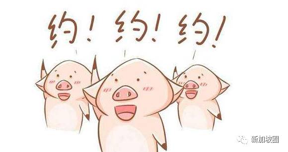 新加坡6月最不能错过的大片，现在公布还不晚