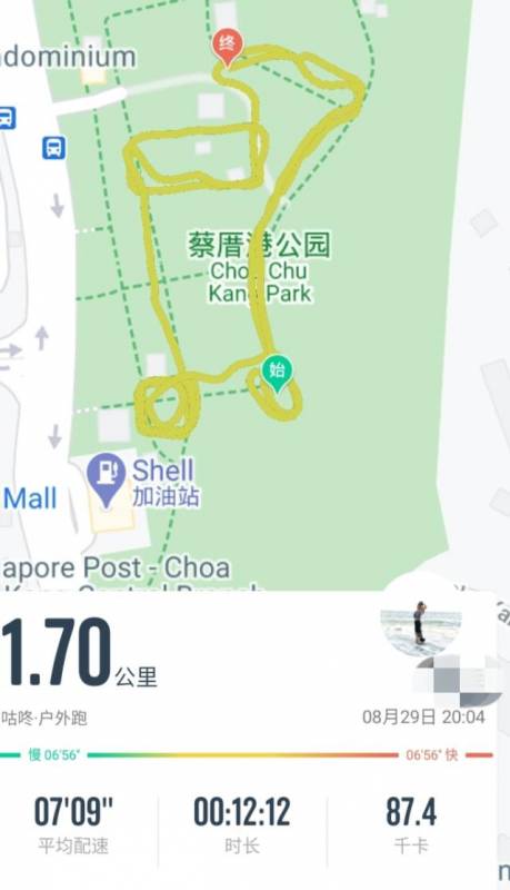 公园夜跑被绊倒,新加坡政府处理流程全记实