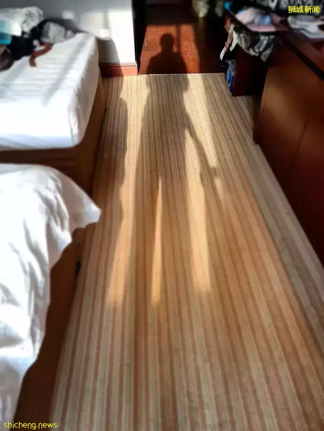 “这个春节,我终于从新加坡回到了中国”