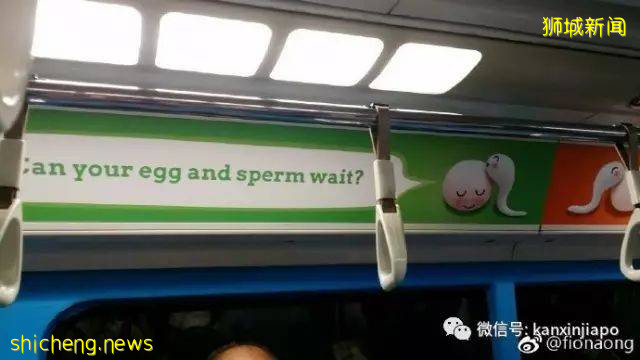 开放生第三胎！看看新加坡实施34年已砸了多少钱