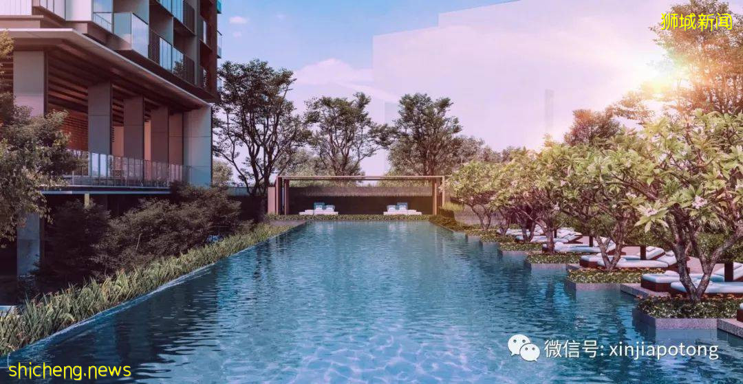 疫情下新加坡成超級富豪的避風港?竟有400個家族管理辦公室