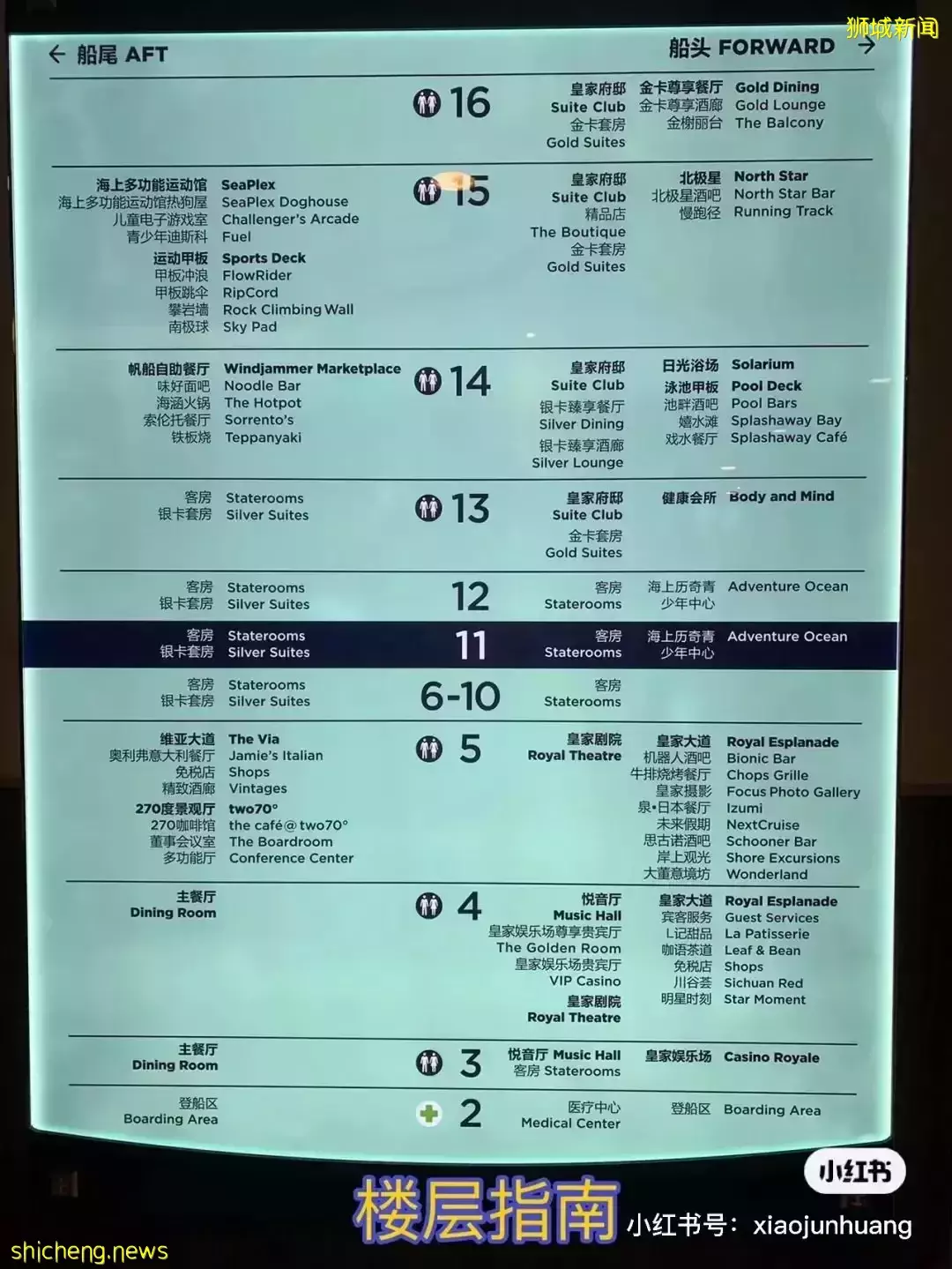 羡慕!一家四口5天4夜坐豪华邮轮免费,攀岩、冲浪、蹦极、跳伞,数不尽的美食和表演