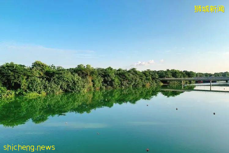 不能出国，坡里这些美食美景让你假装在国外