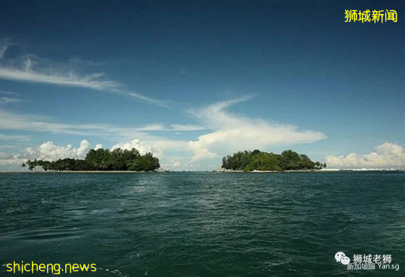 新加坡對完美謀殺說不!