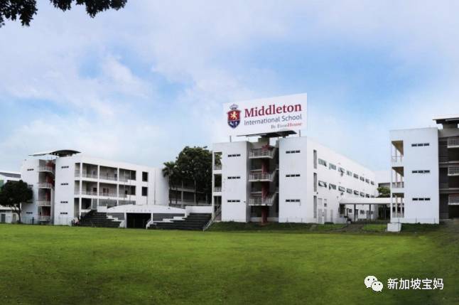 什么?新加坡还有这么便宜的国际学校