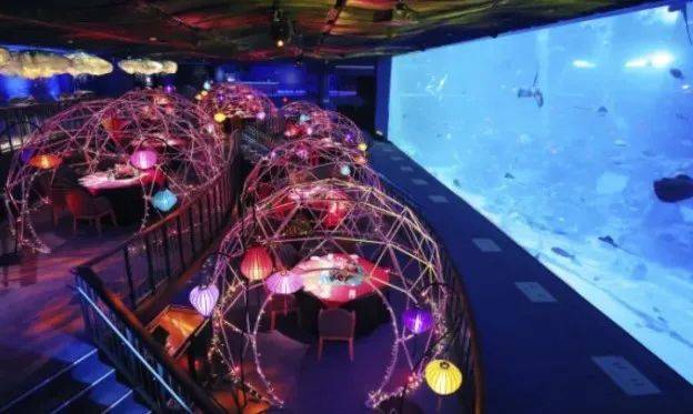 【周末去哪玩？】晝夜璀璨藝術節、海底春意濃、牛牛派對、大麗花之夢等等好玩等你來