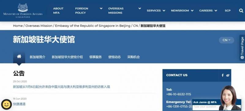8大網站，中國訪客入境新加坡全攻略！獅城，好久不見