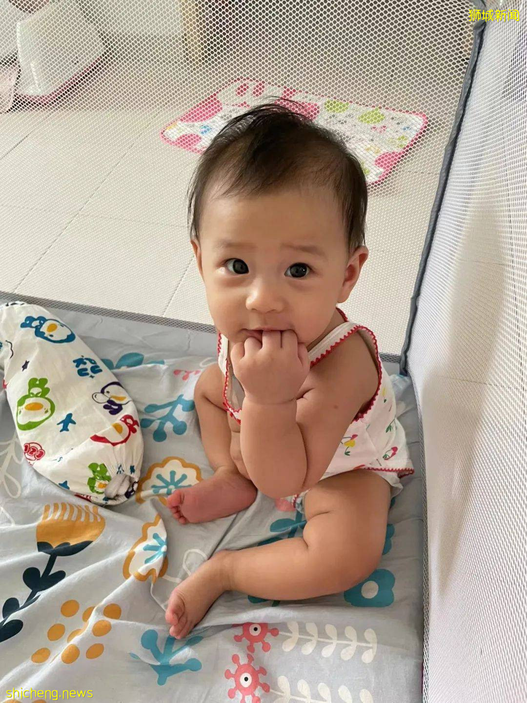 十万火急!“我们一家三口中新冠,宝宝才7个月,当天新加坡医院床位已满......”