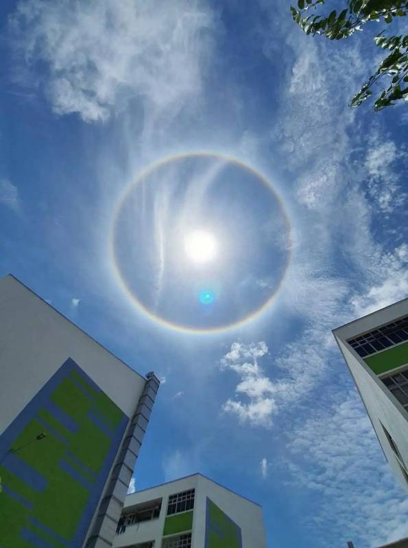 新加坡驚現絕美日暈彩虹光環，李顯龍總理、王瑞傑副總理也轉發了