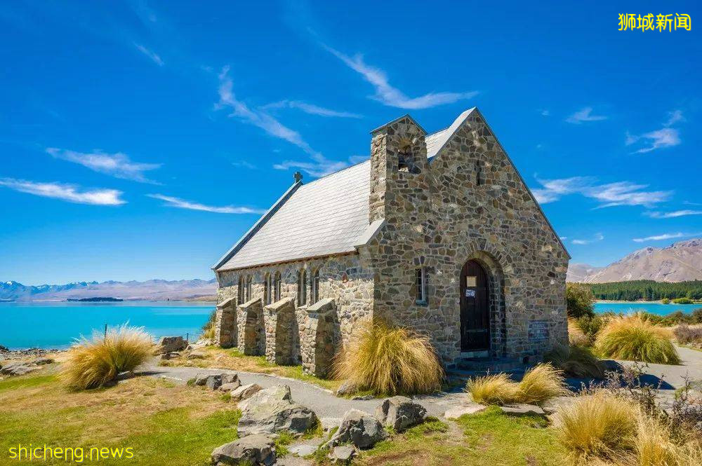 部长:新加坡绝无隐瞒疫情事实!又一国家选择与病毒共存,中国也快了