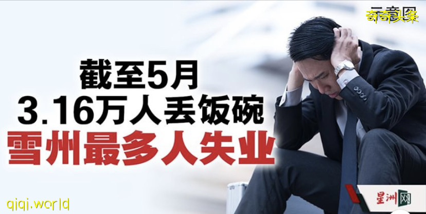 社险：截至5月31日·31671人失业 雪占最多
